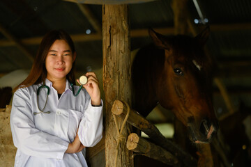 Young veterinarian in white coat with stethoscope standing near horses in the stable