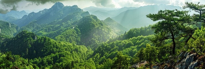 Mountain Green. Panoramic View of Green Valley with Misty Highlands and Forest - obrazy, fototapety, plakaty
