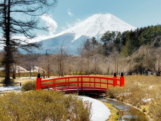 Snow-clad Mount Fuji in Japan in early spring. Typical Japanese landscape with iconic Fujisan and traditional red bridge in the foreground.