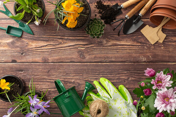 Get into the spring gardening mood. Top view presents seedling flowers, gardening tools, and wooden...