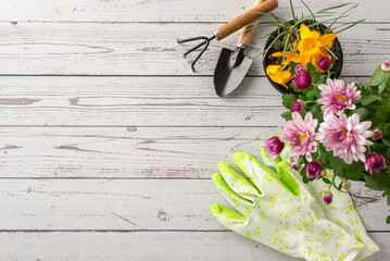 Gardening essentials on top view display: chrysanthemums, crocus, and tools like gloves, rope,...