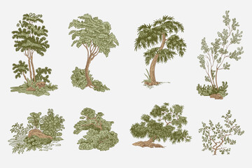 Set of trees and bushes. Vector vintage illustration.