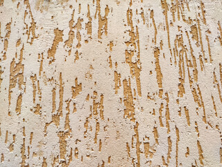Peeling Beige Paint on a Rough Wall Texture. Weathered wall with flaking paint exhibiting aging