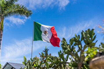 BANDERA DE MÉXICO VIENTO ONDA 