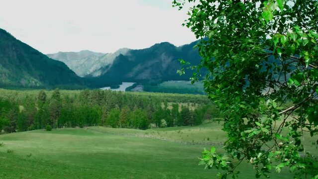 Capture the breathtaking beauty of Altai in summer with aerial drone footage. Explore majestic mountains, winding valleys, horseback rides, and stunning sunsets and sunrises from a unique perspective