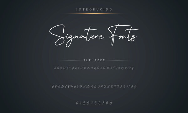 Lettering signature font isolated on grey background. brush style alphabet. Vector logo letters.
