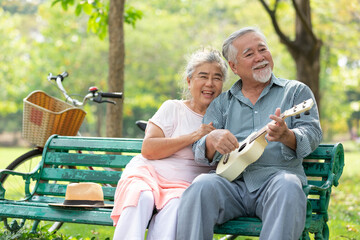 senior couple in love and playing ukulele in the park