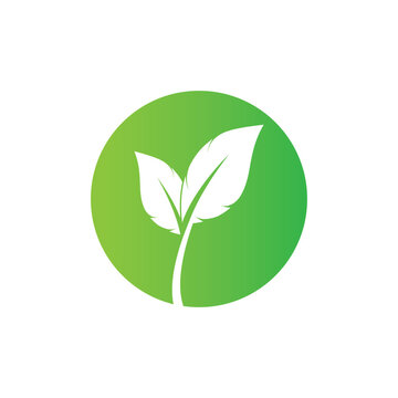 Leaf green logo and symbol vector