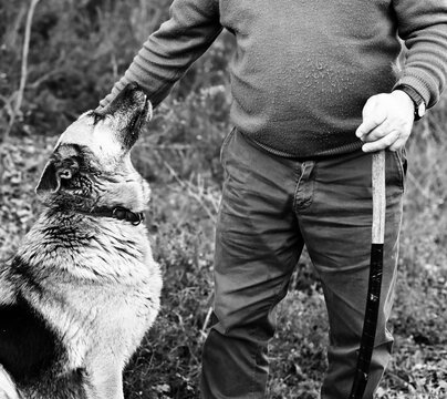 Hombre del rural con su perro