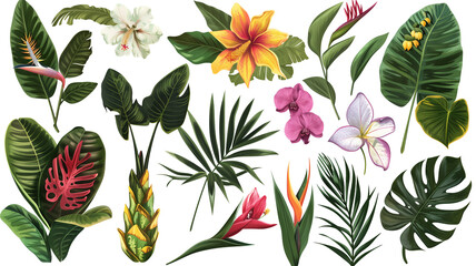 A collection of exotic jungle plants and flowers, isolated on transparent background - obrazy, fototapety, plakaty