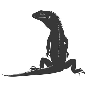 Silhouette comodo dragon reptile animal black color only full body