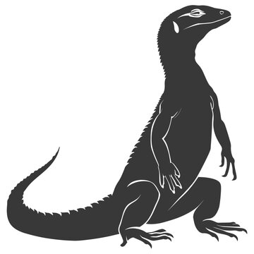 Silhouette comodo dragon reptile animal black color only full body