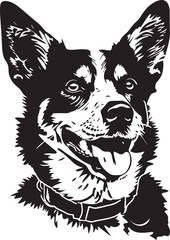 smiling Australian Cattle Dog