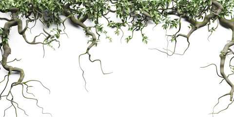 Jungle vines flowing on transparent background