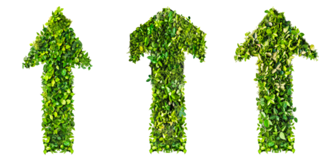 arrow up upwards made from green plant leaves isolated on transparent background, concept of growth, green energy, environmental nature eco friendly business increase evolve thrive