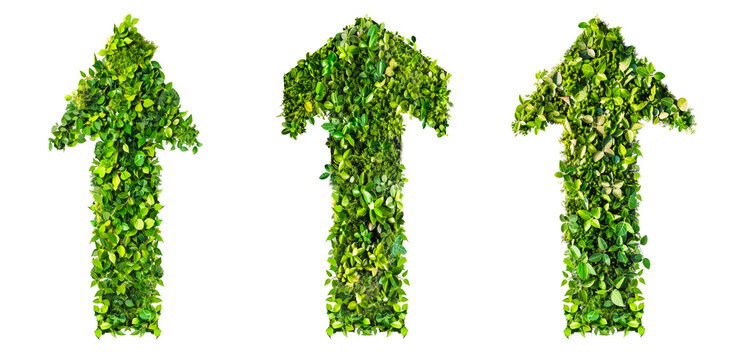 arrow up upwards made from green plant leaves isolated on transparent background, concept of growth, green energy, environmental nature eco friendly business increase evolve thrive