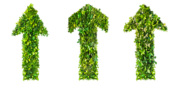 arrow up upwards made from green plant leaves isolated on transparent background, concept of growth, green energy, environmental nature eco friendly business increase evolve thrive