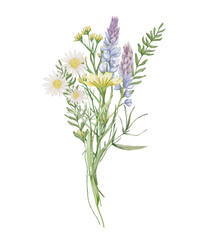 Fototapeta na wymiar Watercolor wildflowers bouquet. Botanical arrangement of wild flowers and herbs. Summer floral composition