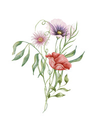 Watercolor poppy bouquet. Wildflowers arrangement purple and red poppy flowers with herbs. Summer floral composition