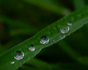 Water Drops macro