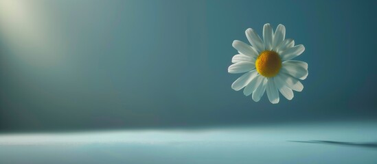 A white flower is floating in the air above a blue background