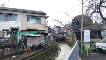 Obraz premium Muddy stream, Kyoto, Japan