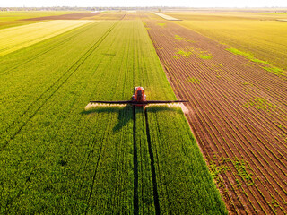 Drone shot of a tractor spraying in lush green wheat fields under the bright sun, showcasing modern agriculture