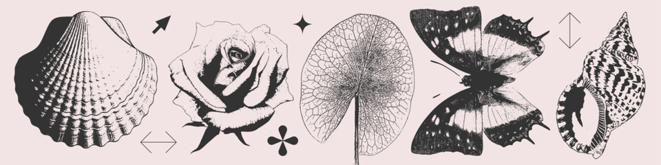 Summer Set of seashells, rose, leaf, butterfly in photocopy halftone Y2K style. Isolated black and white retro print effect.