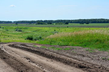 Fototapeta na wymiar the dirty road to the farm with green field and forest line
