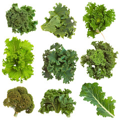 A selection of leafy green kale, with its curly edges and rich color, known for its nutritional powerhouse properties, isolated on transparent background - obrazy, fototapety, plakaty