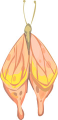 Butterfly illustration on transparent background.