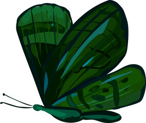 Butterfly illustration on transparent background.