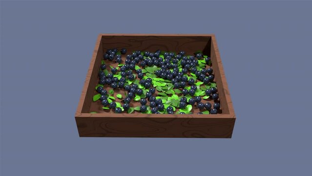 3D blueberry animation. Blueberry with leaves animation. Fruit and healthy food concept. 4K seamless loop video footage