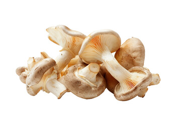 French Horn Mushrooms Isolated on a Transparent Background