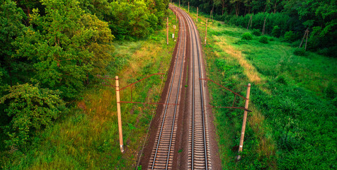 Summer Serenity: Journeying Along Forest Railway Tracks - 773934441