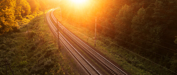 Morning Glow: Summer Forest Railway Tracks at Dawn