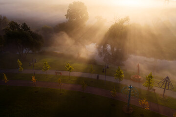 Dawn's Embrace: River Mist in the Park at Sunrise - 773934467
