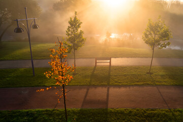 Misty Park: Early Morning Fog Hugging the Riverbanks at Dawn - 773934474