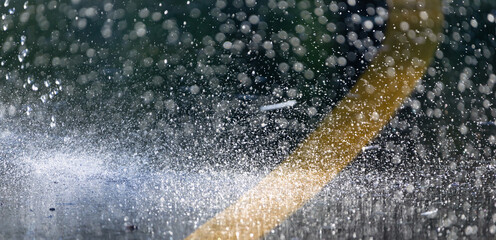 Urban Rainfall: Glistening Raindrops on the Asphalt - 773934693