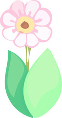 Flower illustration on transparent background.
