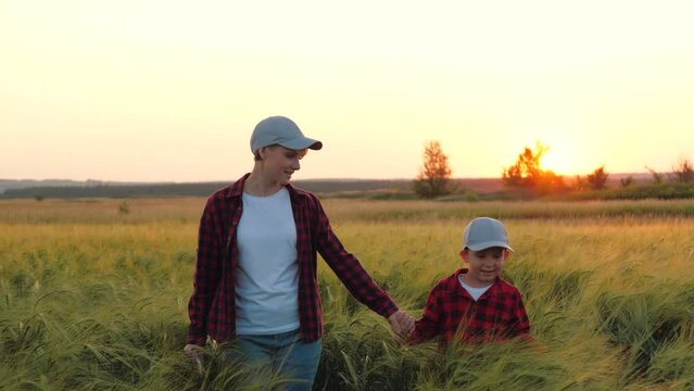 Happy mother farmer joins hands with son walking across wheat field. Farmer mother and son spend time in wheat field at sunset. Farmer mother dashes on wheat field holding son hand at twilight