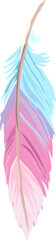 Feather illustration on transparent background.
