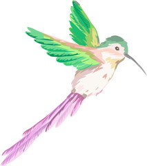 Cute bird cartoon illustration on transparent background.
