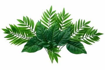 Green Leaves on White Background