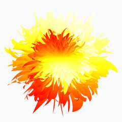 Tropic flowers vector. Hawaiian hibiscus and exotic aloha plants isolated illustration