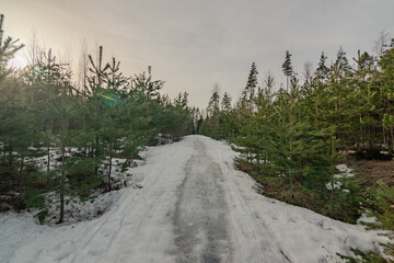 snow melts in the ski trail