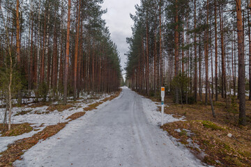 Landscape. Spring forest in Finland. Most of the snow has already melted