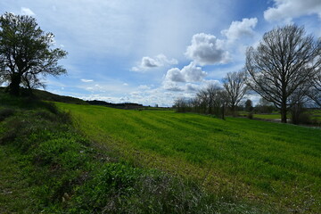 Spectacular green field