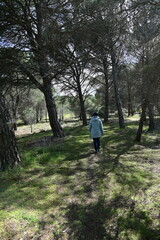 Woman walking through a forest