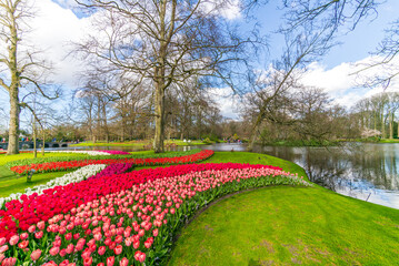 keukenhof, netherlands, 28 march 2024, flowers in the park keukenhof
